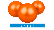 Lade das Bild in den Galerie-Viewer, T4E Paintballs | PAB 68 - MantisX.at